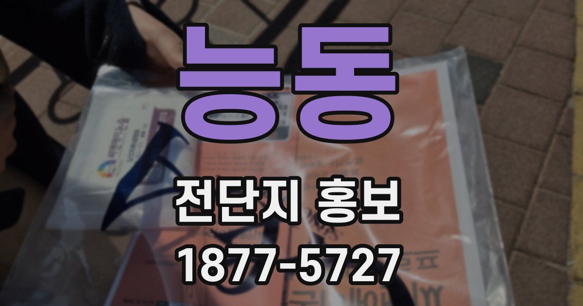 능동 전단지 홍보