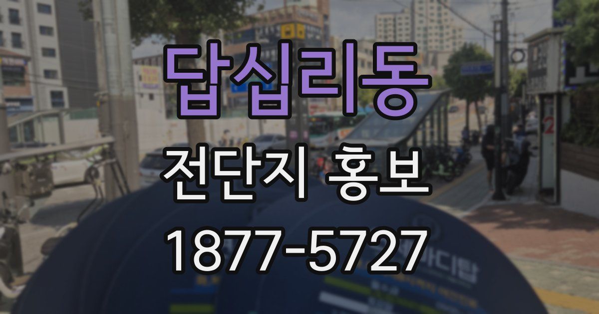 답십리동 전단지 홍보