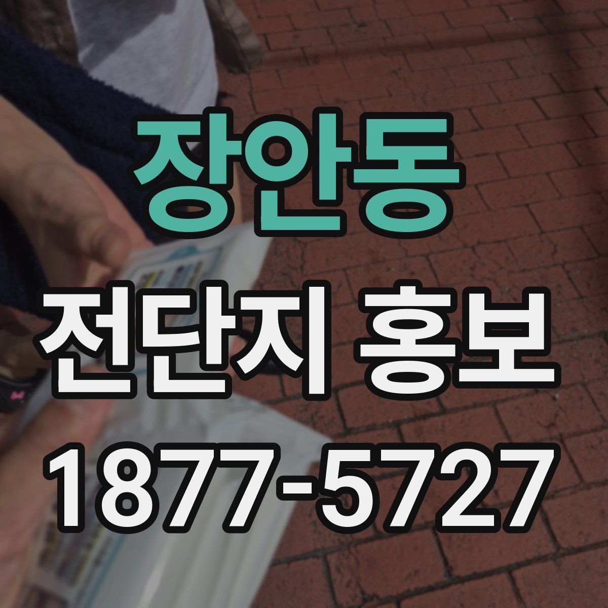 장안동 전단지 홍보
