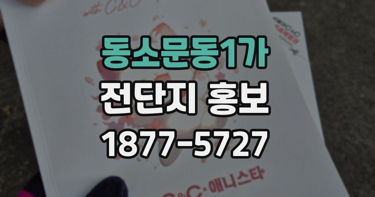 동소문동1가 전단지 홍보