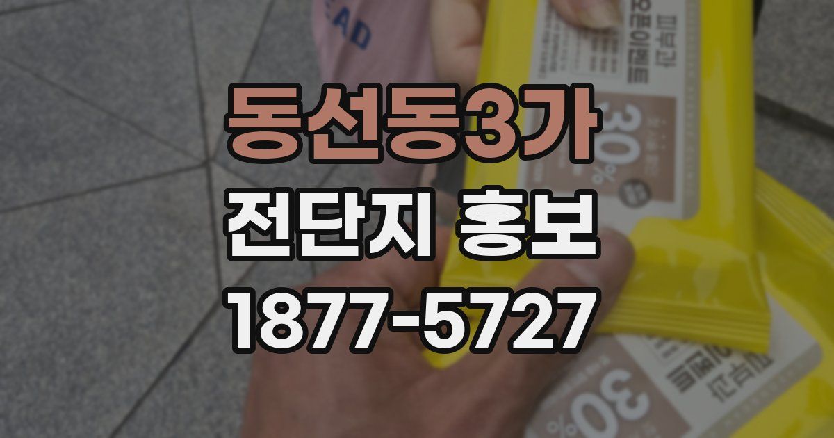 동선동3가 전단지 홍보