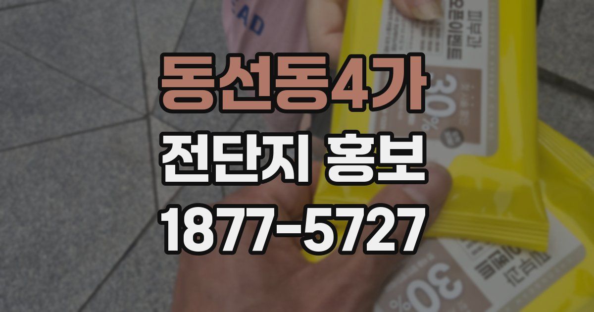 동선동4가 전단지 홍보