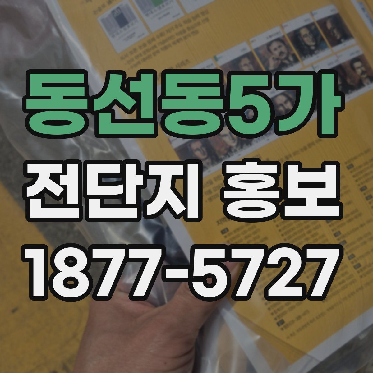 동선동5가 전단지 홍보