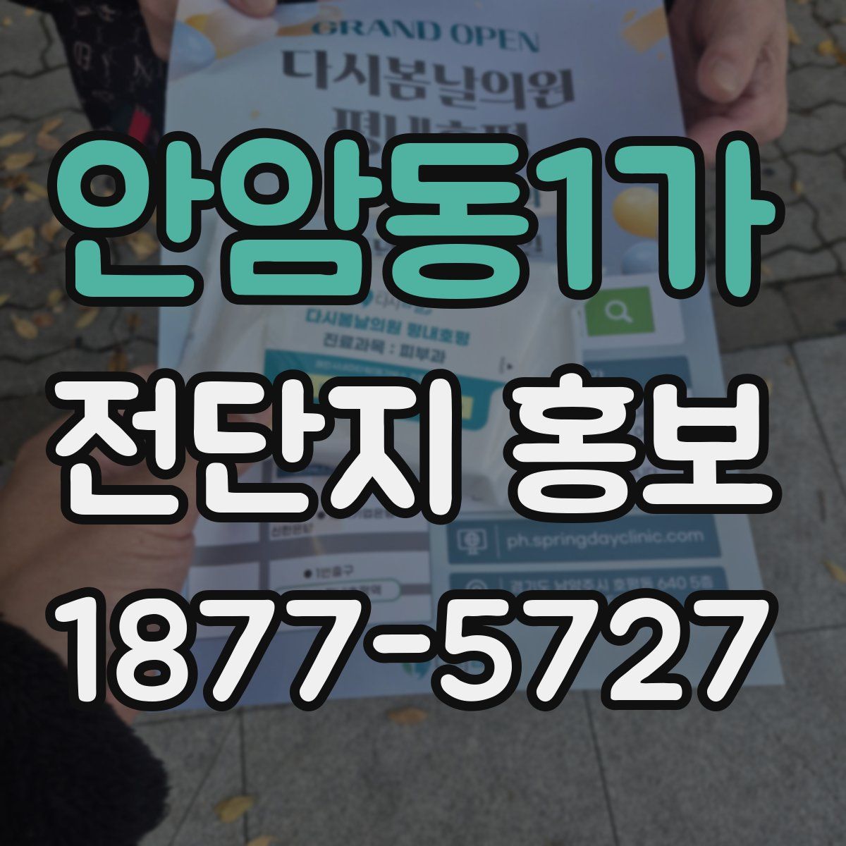 안암동1가 전단지 홍보