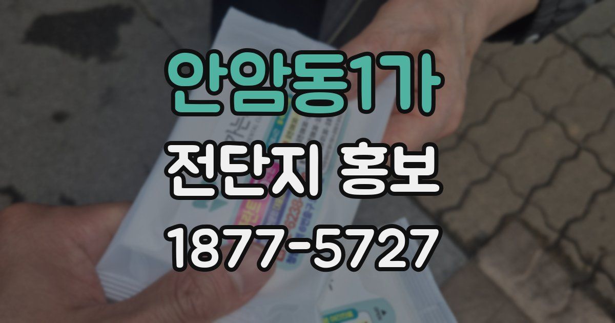 안암동1가 전단지 홍보