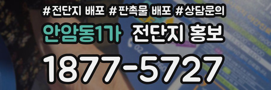 안암동1가 전단지 홍보
