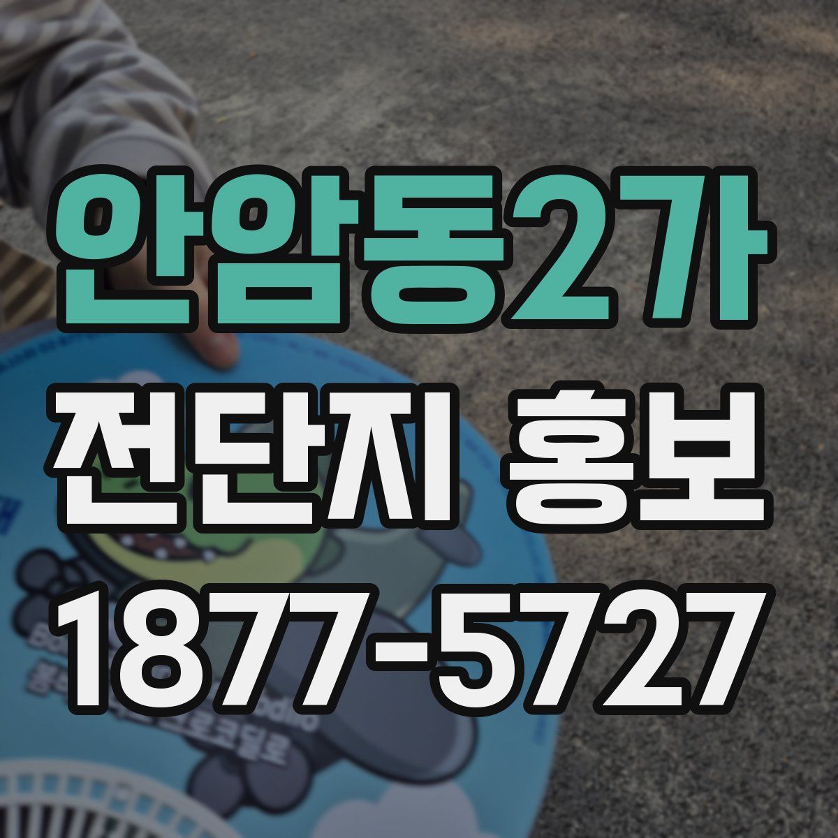 안암동2가 전단지 홍보