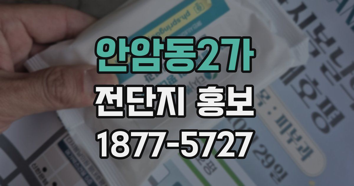 안암동2가 전단지 홍보