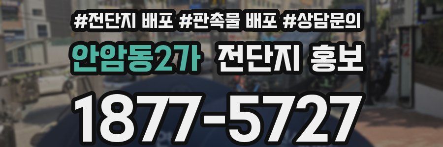 안암동2가 전단지 홍보