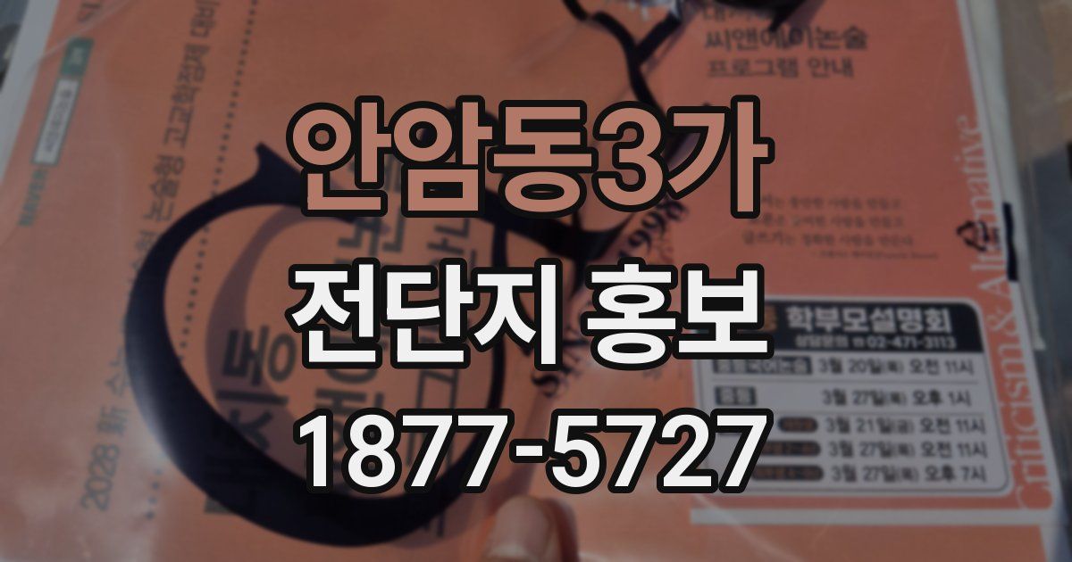 안암동3가 전단지 홍보