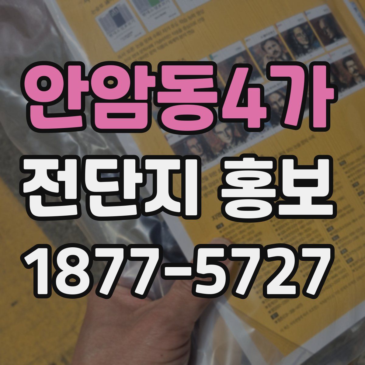 안암동4가 전단지 홍보