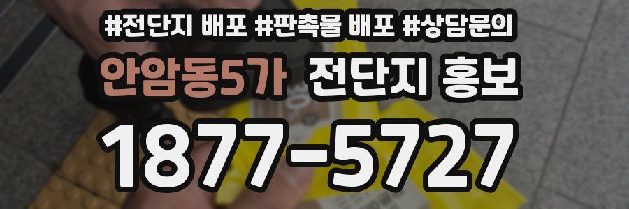 안암동5가 전단지 홍보