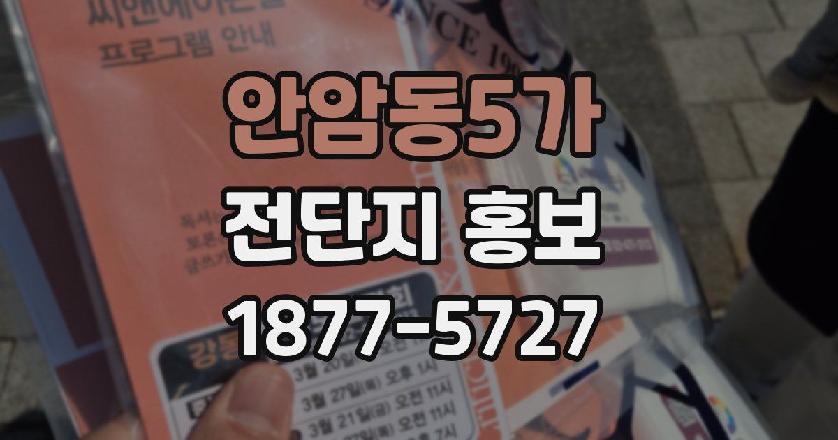 안암동5가 전단지 홍보