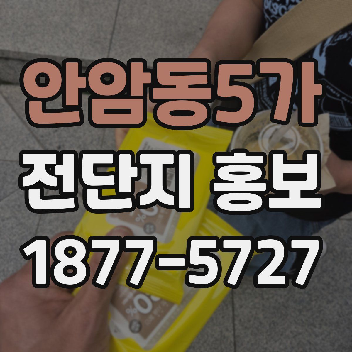 안암동5가 전단지 홍보