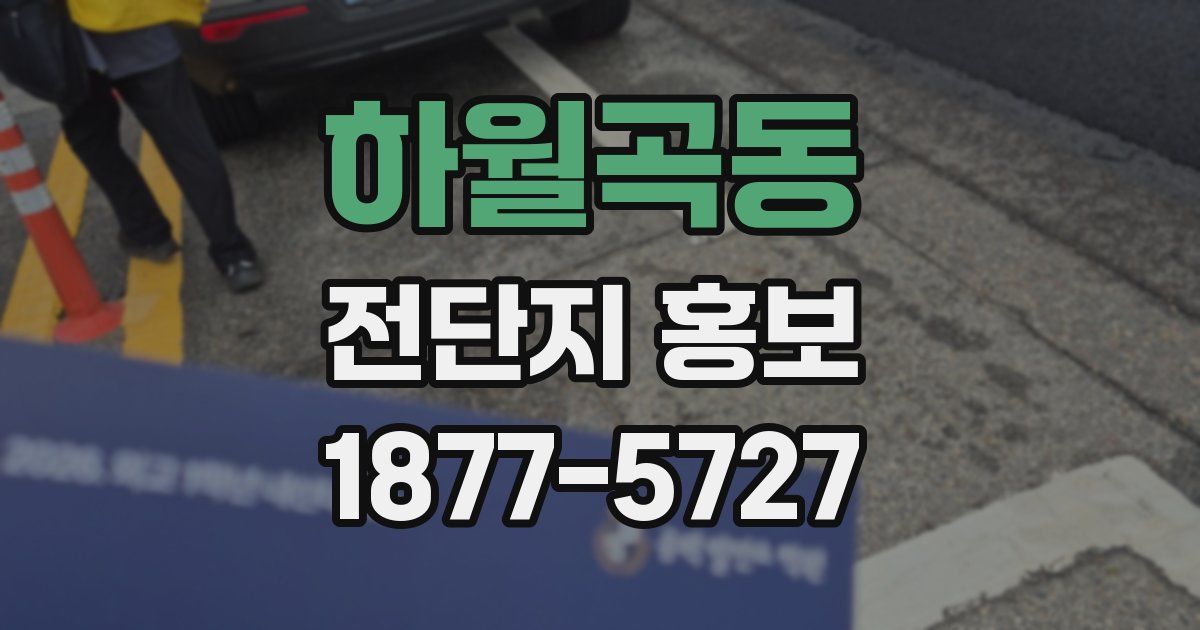 하월곡동 전단지 홍보