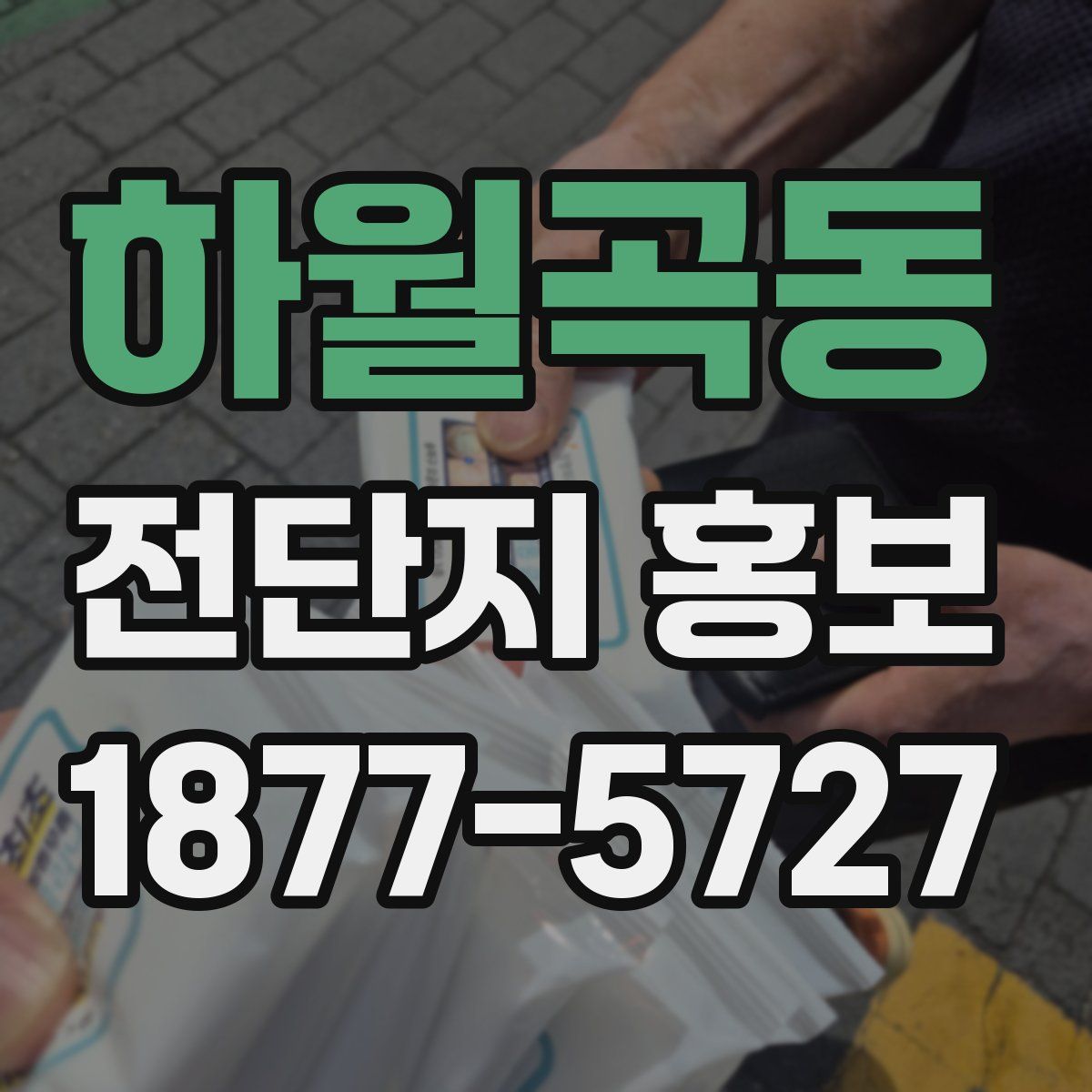 하월곡동 전단지 홍보