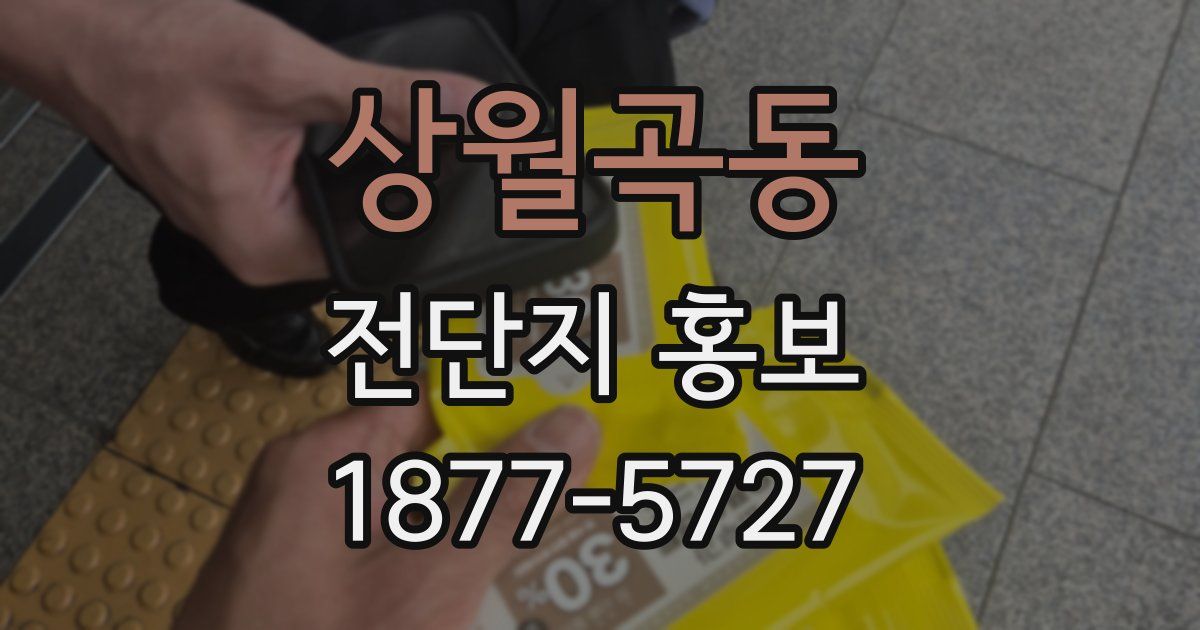 상월곡동 전단지 홍보