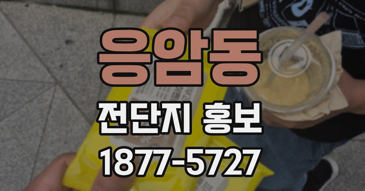 응암동 전단지 홍보