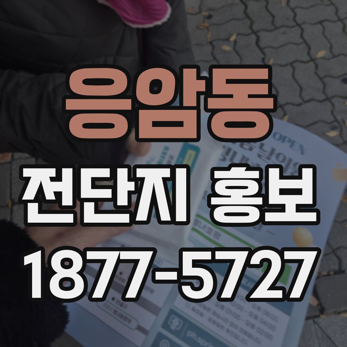 응암동 전단지 홍보