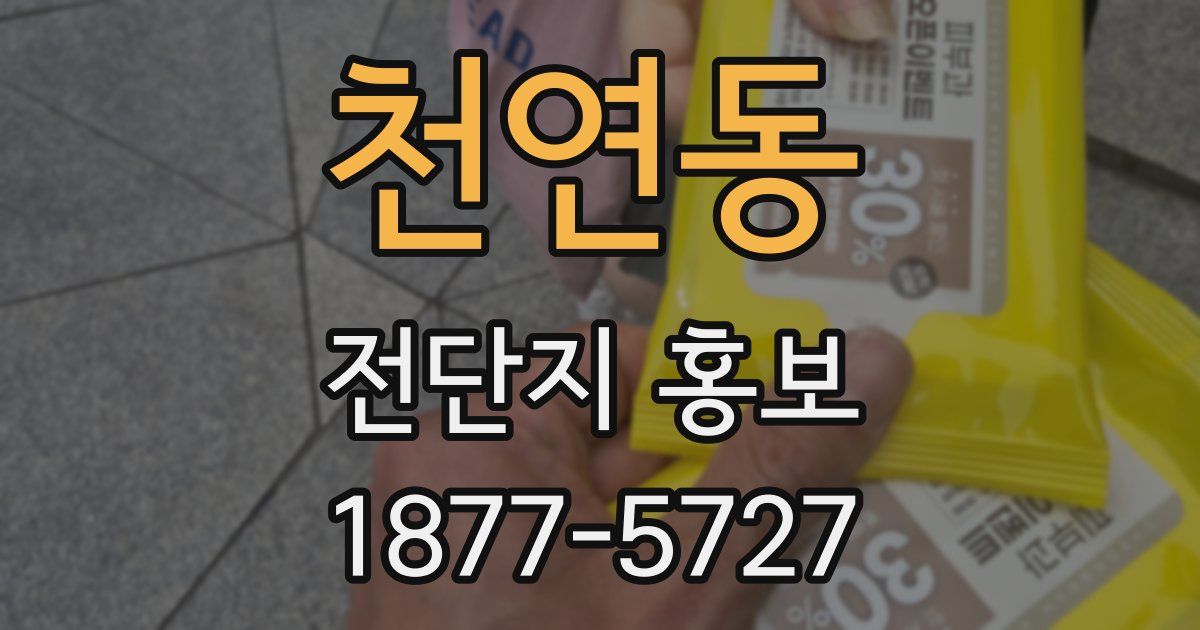 천연동 전단지 홍보