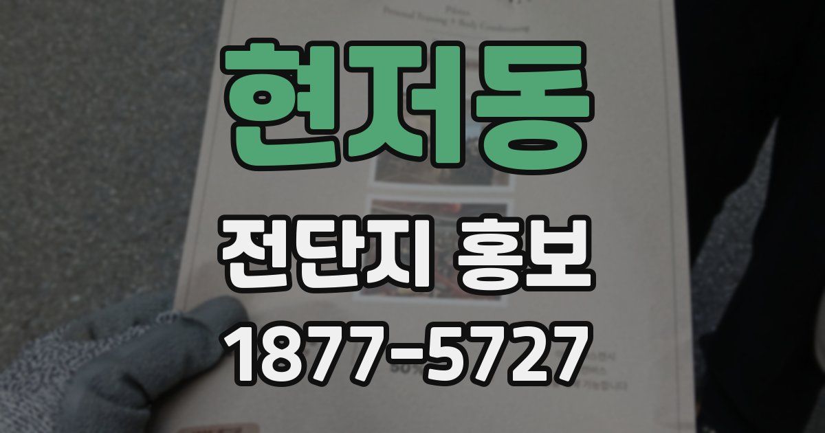 현저동 전단지 홍보