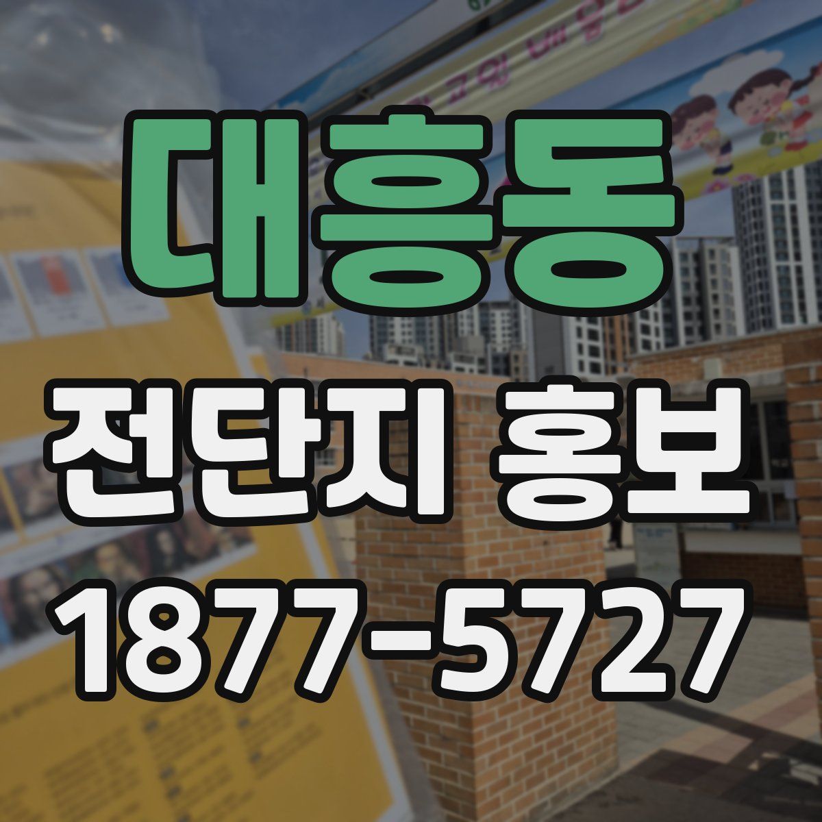 대흥동 전단지 홍보