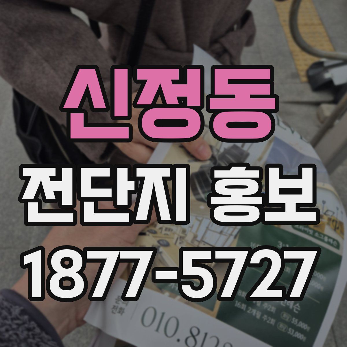 신정동 전단지 홍보