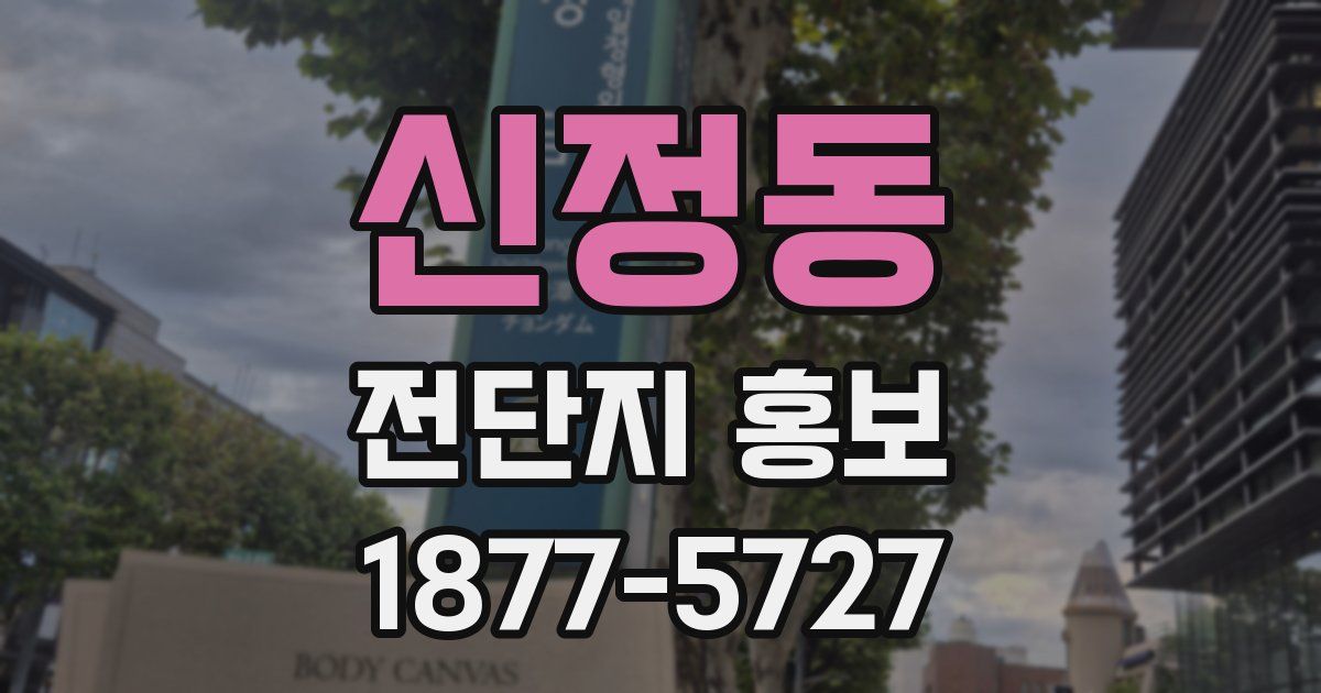 신정동 전단지 홍보