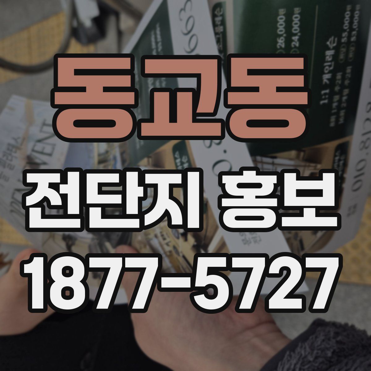 동교동 전단지 홍보