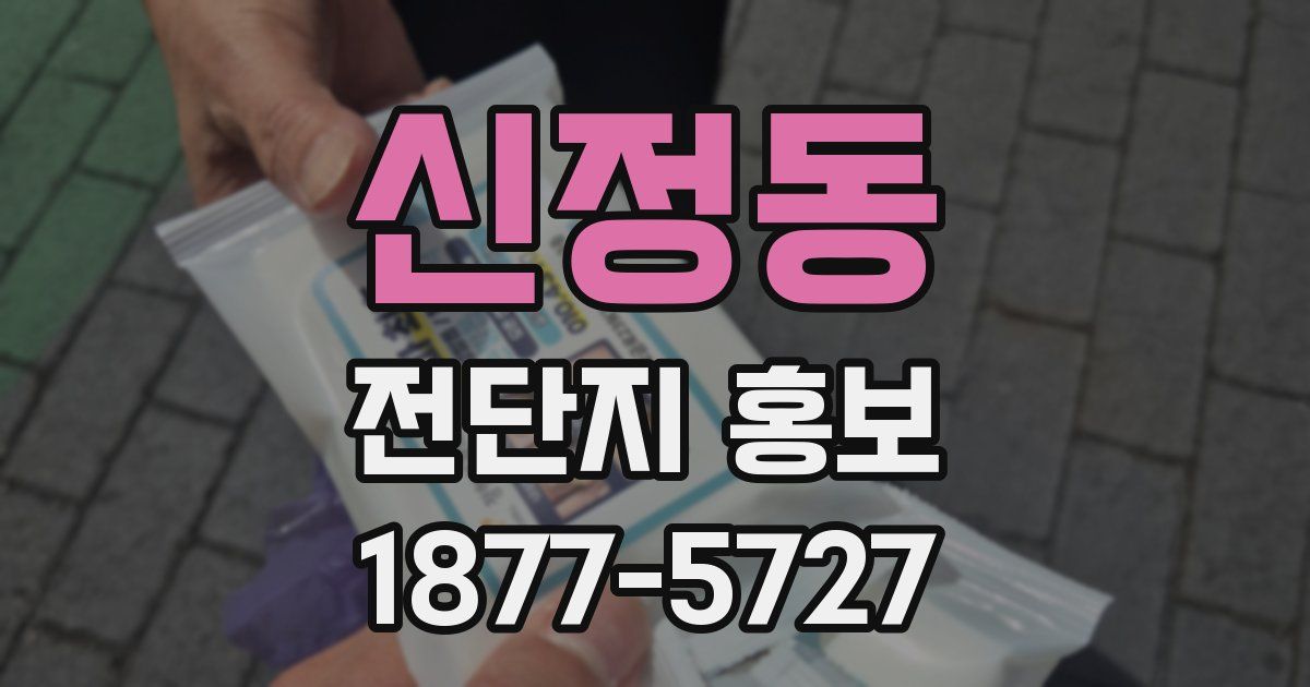 신정동 전단지 홍보