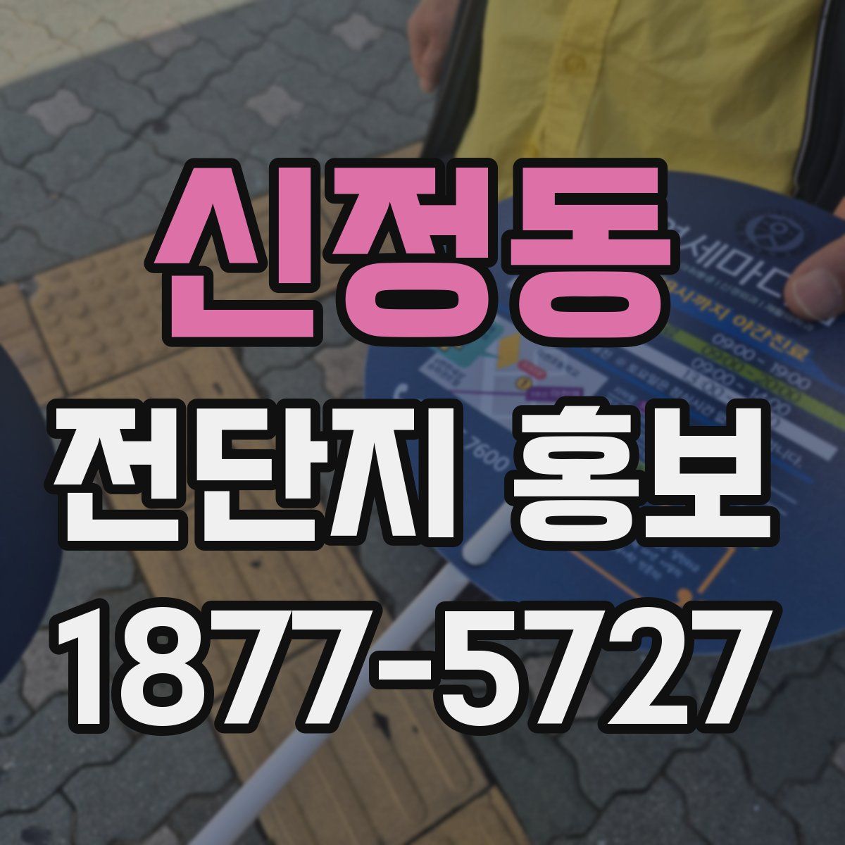 신정동 전단지 홍보