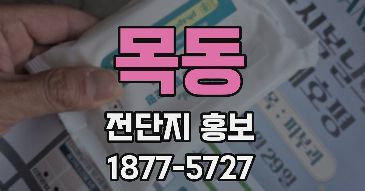 목동 전단지 홍보