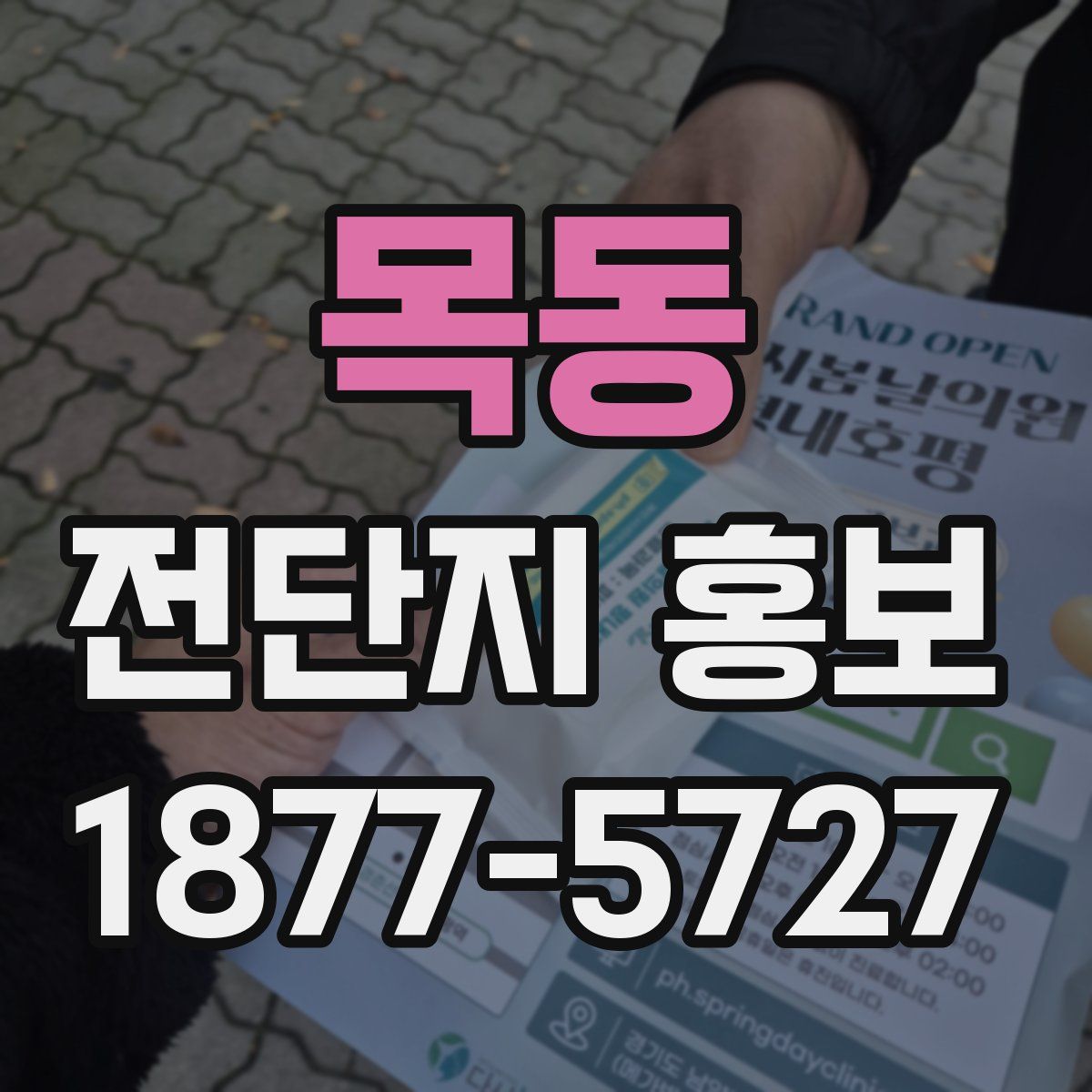목동 전단지 홍보