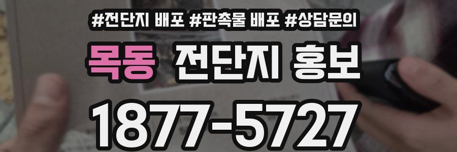 목동 전단지 홍보