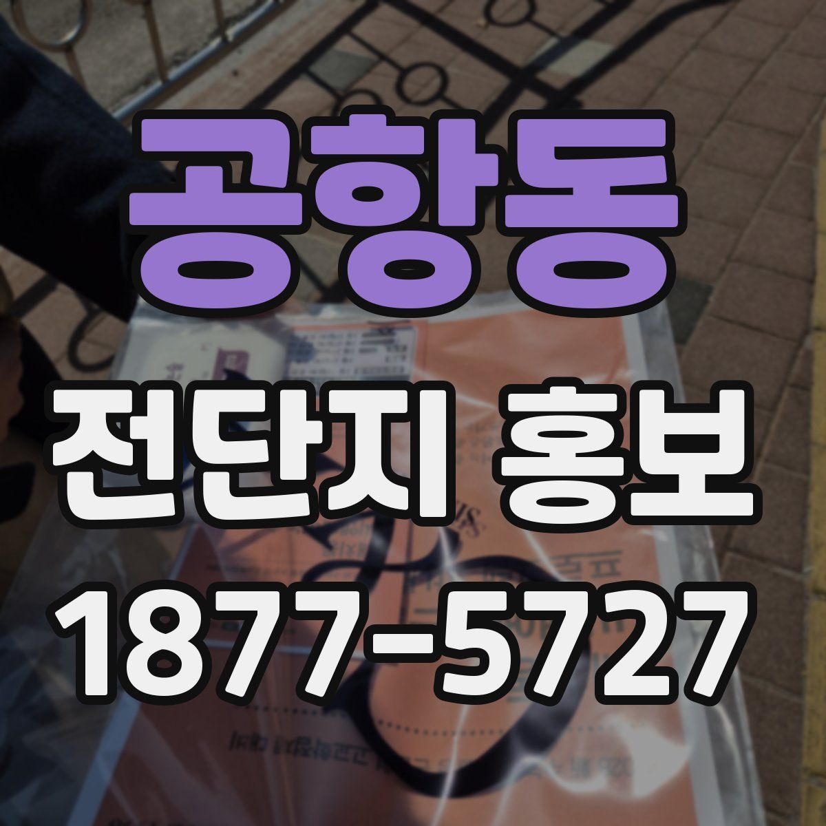 공항동 전단지 홍보