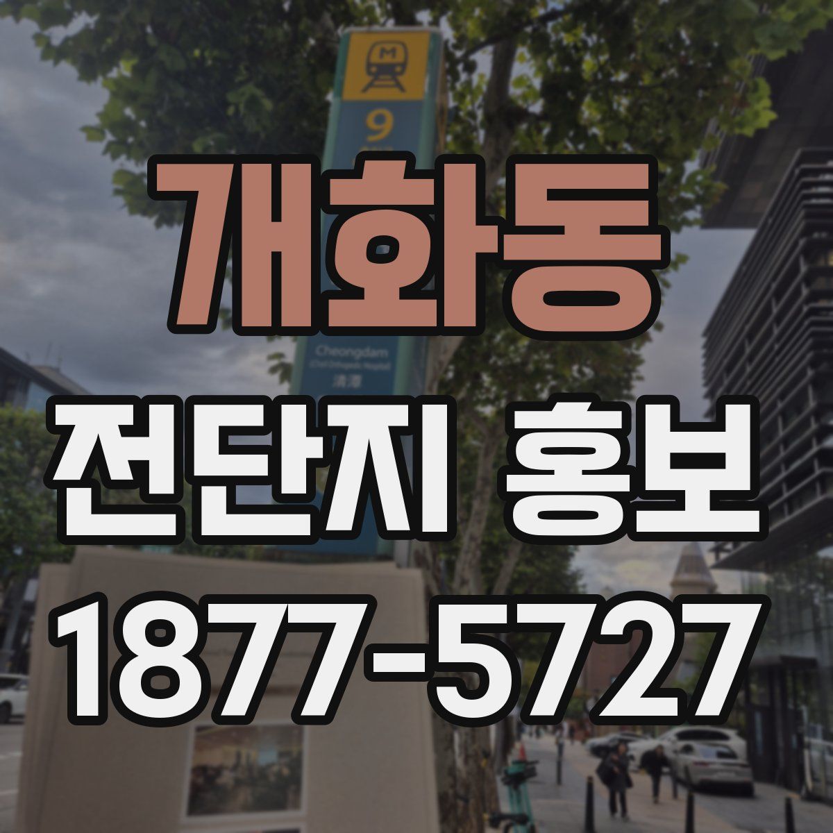 개화동 전단지 홍보