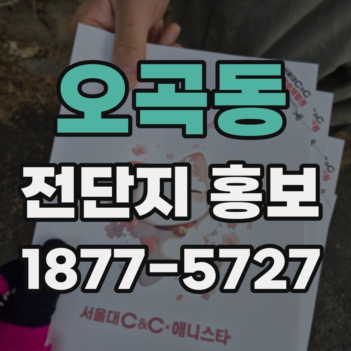 오곡동 전단지 홍보