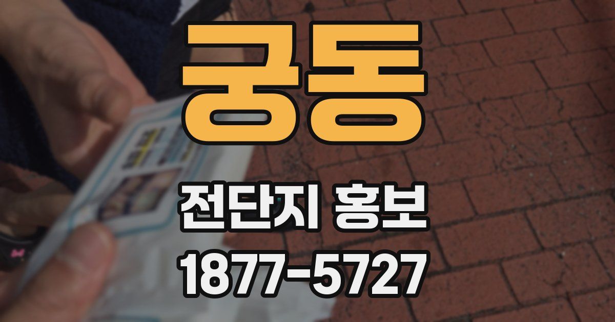 궁동 전단지 홍보