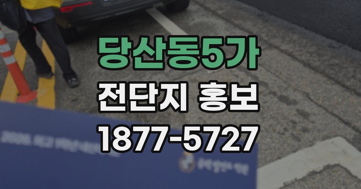 당산동5가 전단지 홍보