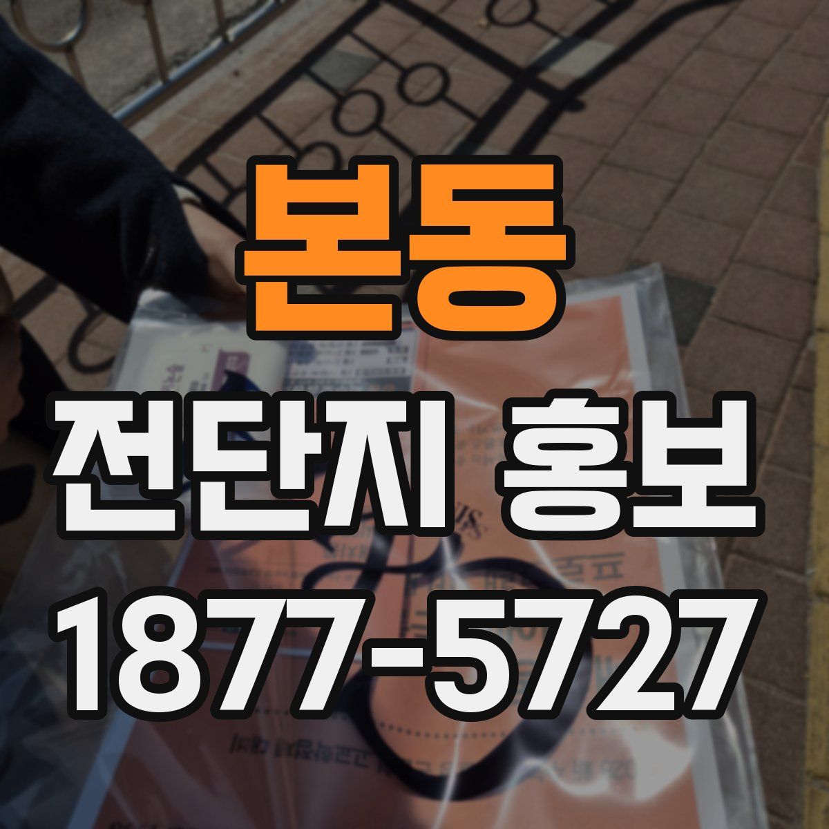 본동 전단지 홍보