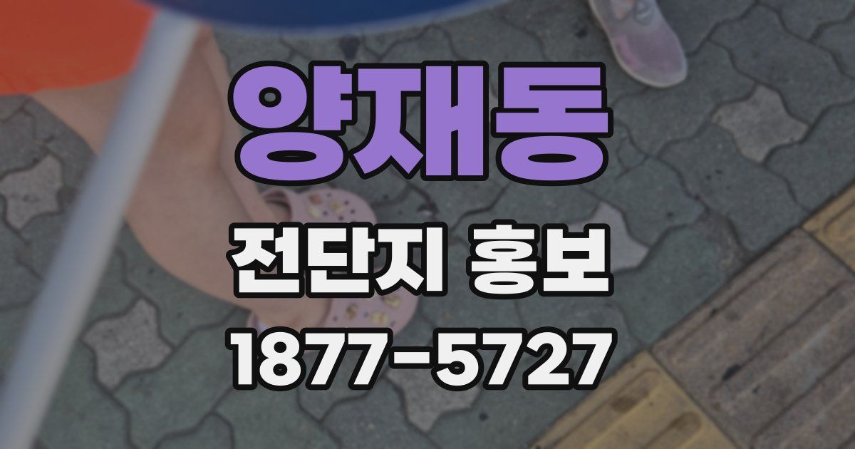 양재동 전단지 홍보