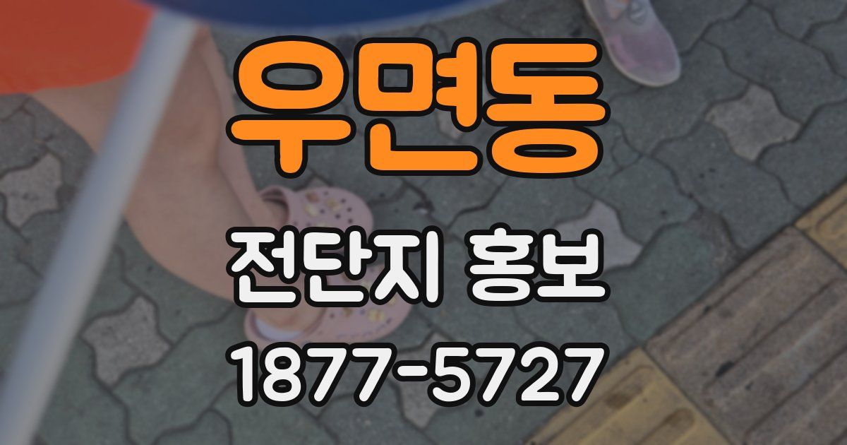 우면동 전단지 홍보