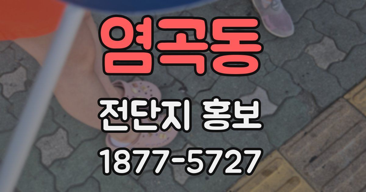 염곡동 전단지 홍보
