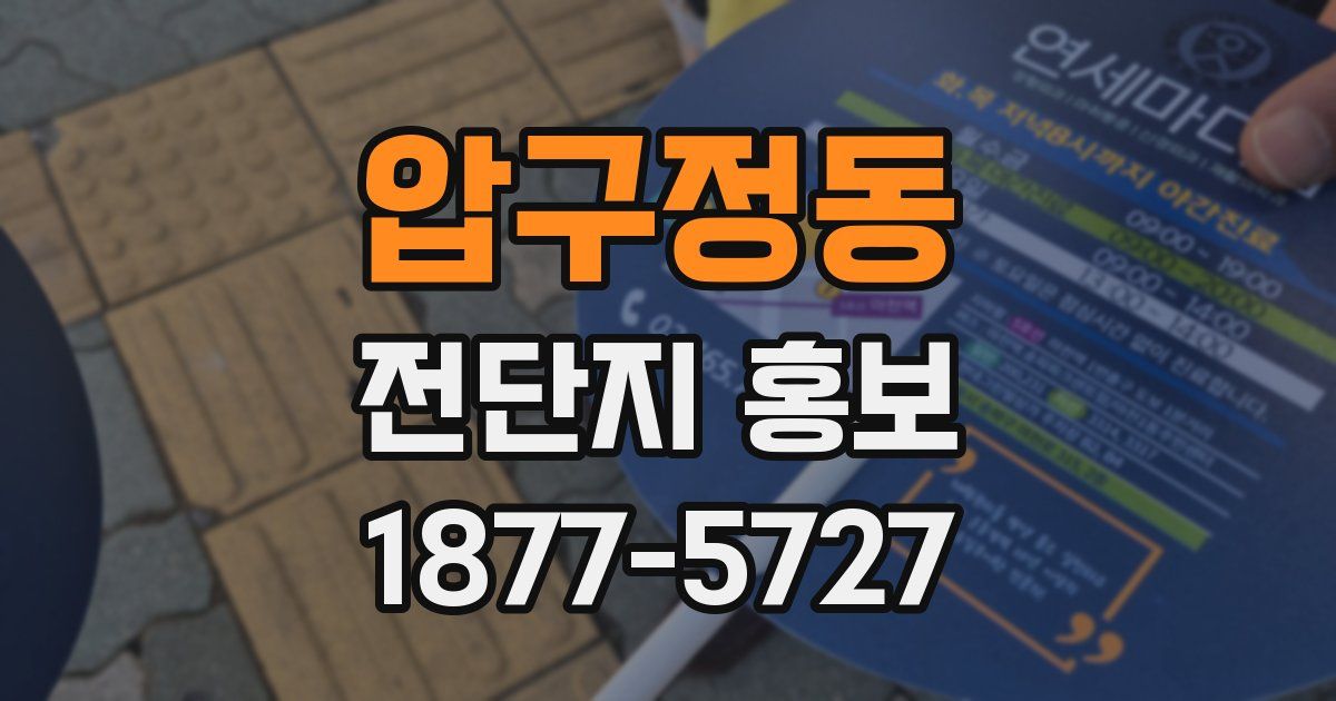 압구정동 전단지 홍보