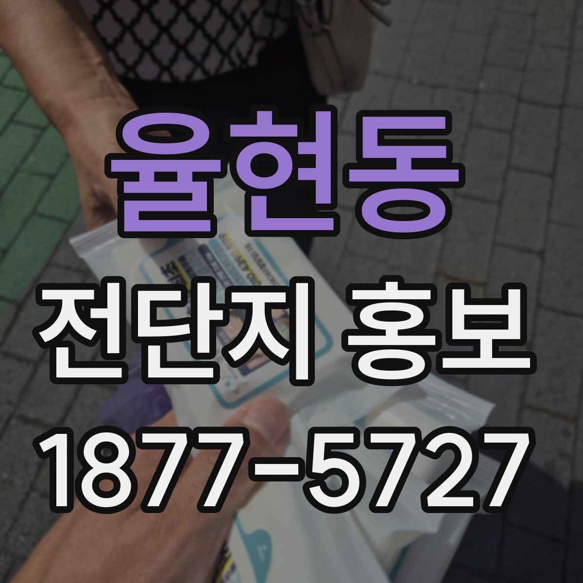 율현동 전단지 홍보