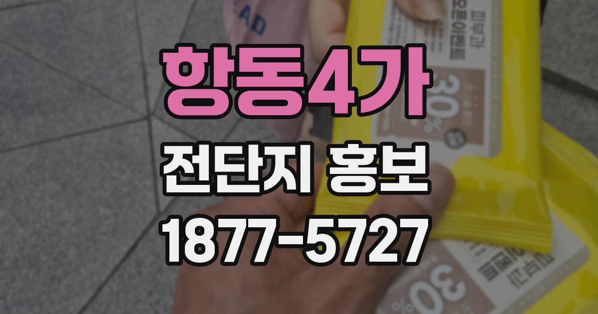 항동4가 전단지 홍보
