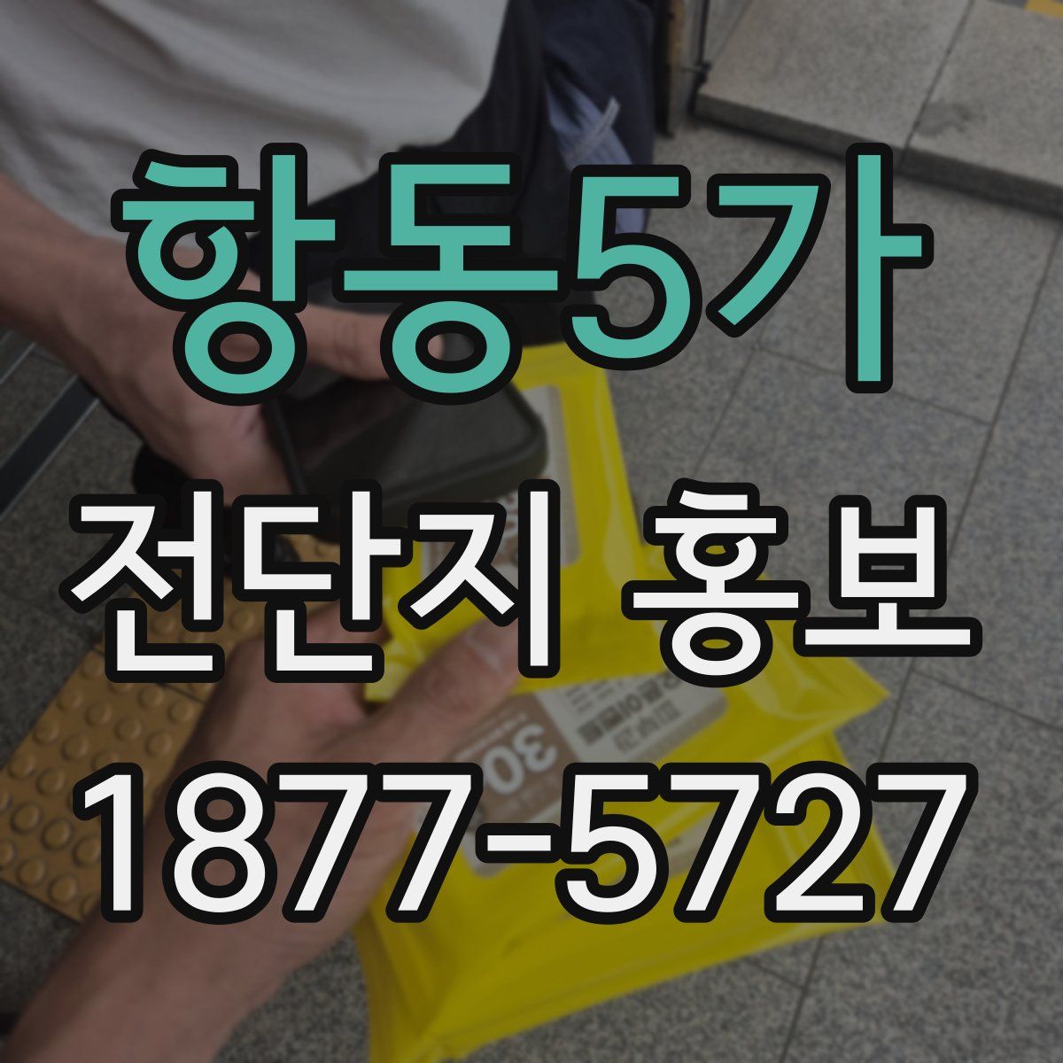 항동5가 전단지 홍보