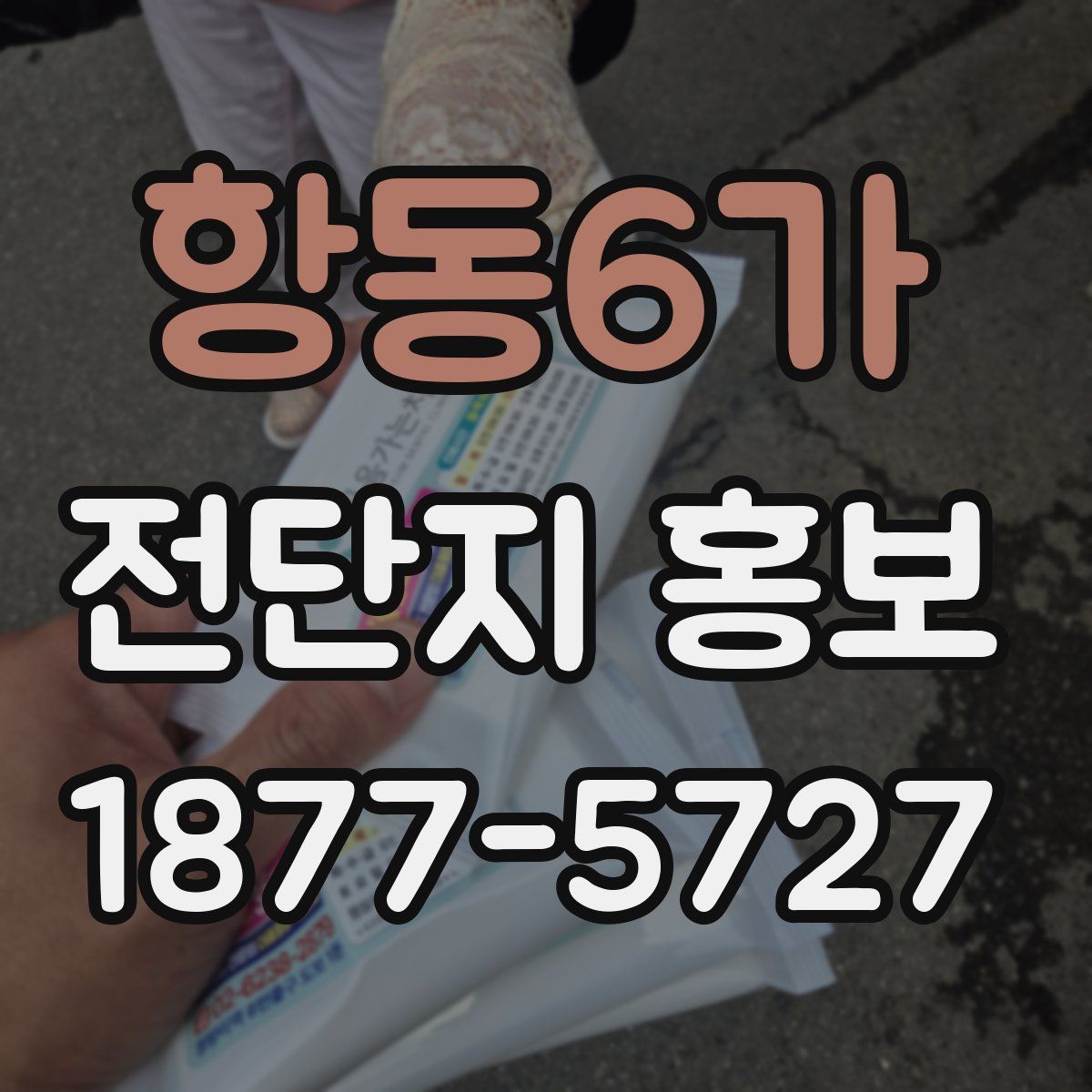 항동6가 전단지 홍보