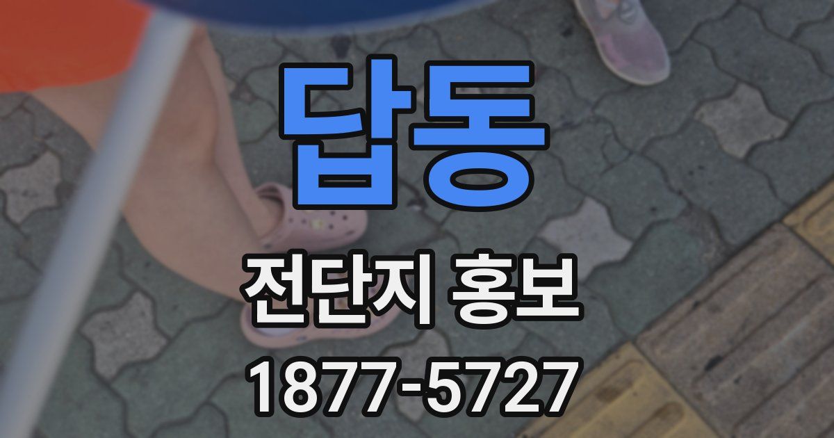 답동 전단지 홍보