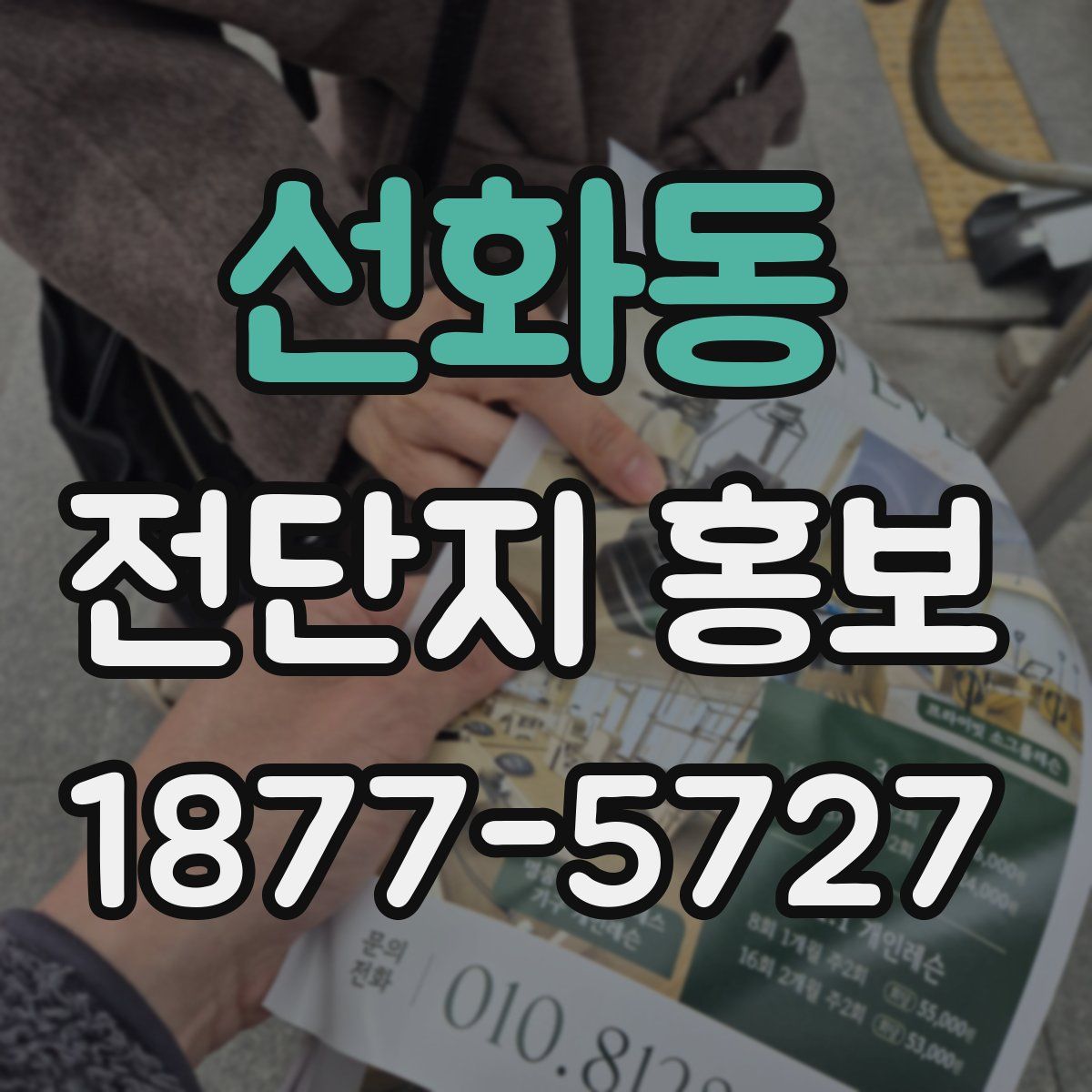 선화동 전단지 홍보